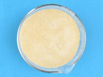 你知道什么是羧甲基壳聚糖吗？